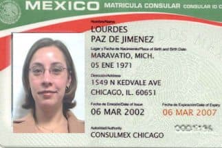 México ha emitido entre 2001 y 2010 un total de 8.3 millones de matrículas consulares en Estados Unidos. La tarjeta es aceptada en 265 condados, 437 concejos y 1,426 departamentos de policía.