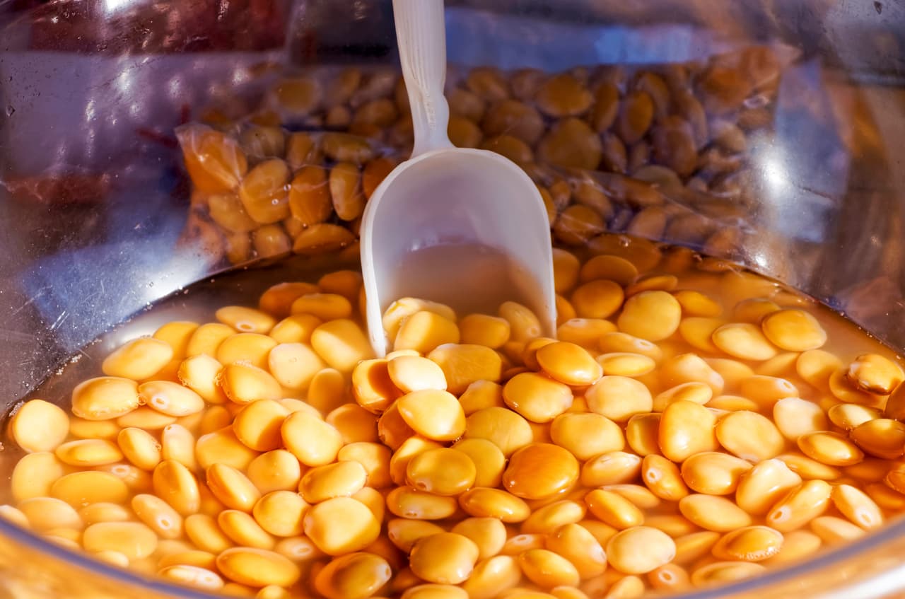 En España e Italia la consumen como aperitivo pues contiene un mínimo de carbohidratos que están constituidos por fibra soluble.