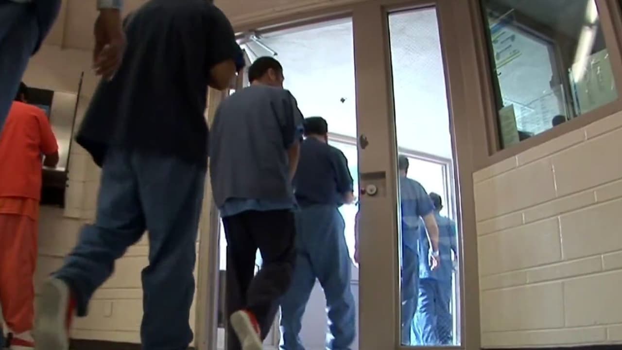 ¿Cuántos inmigrantes en proceso de deportación tenían cargos criminales?