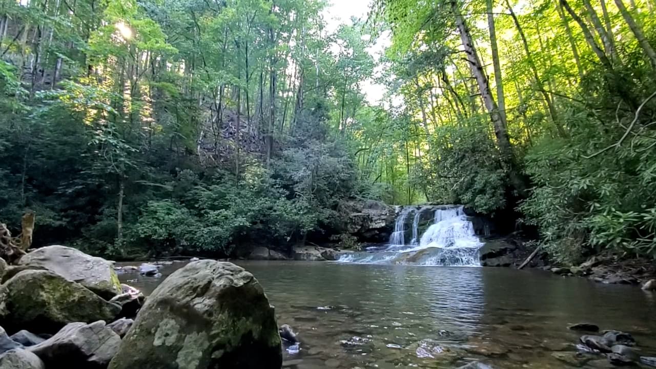 Luego de una media hora -aproximadamente- encontrarás Hemlock Falls, un punto popular en la zona.