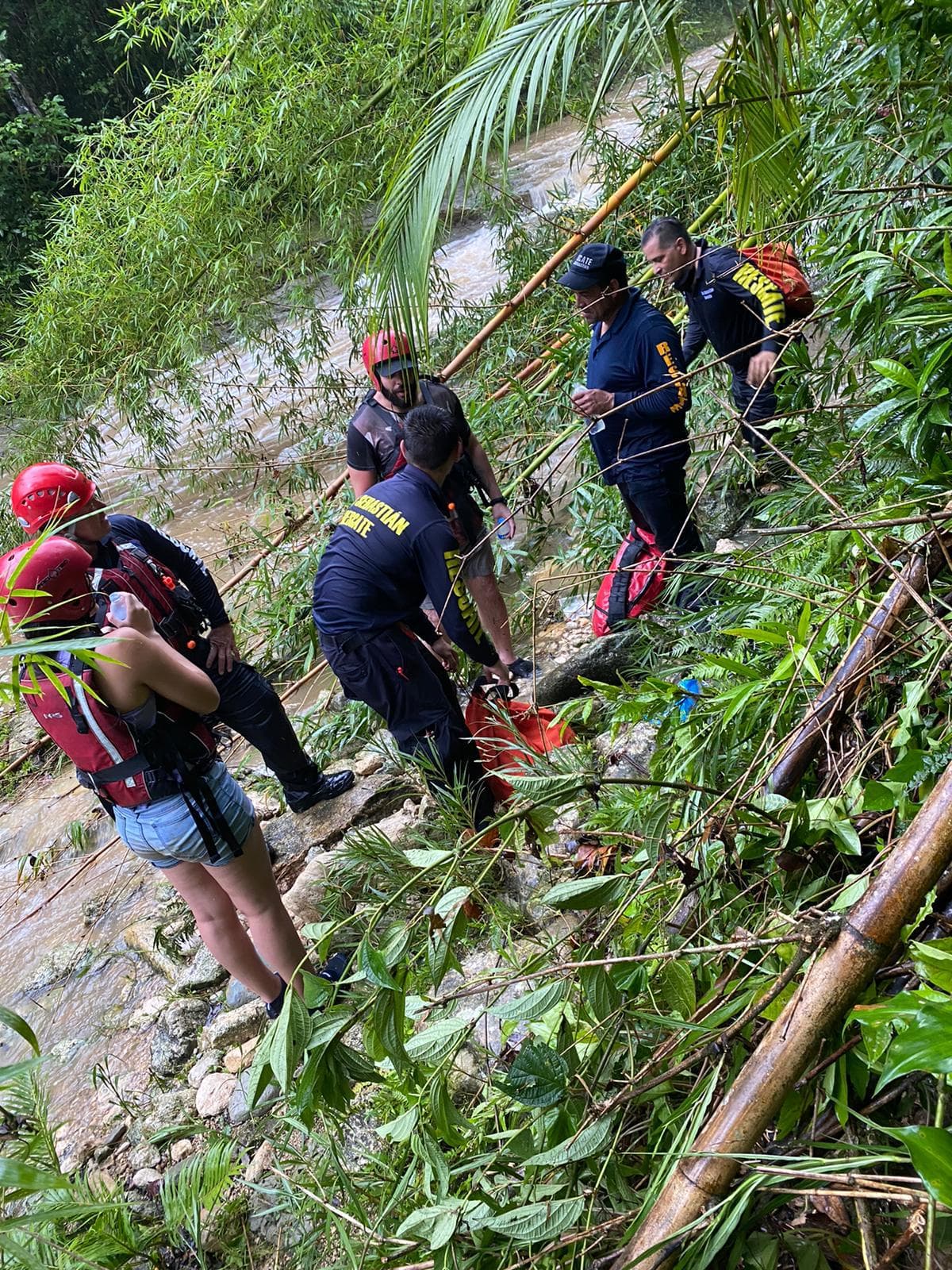 Al lugar se personó Manejo de Emergencias, Defensa Civil y Rescate, quienes trabajaron con la situación en unión al Personal del Distrito de San Sebastián, logrando el rescate.