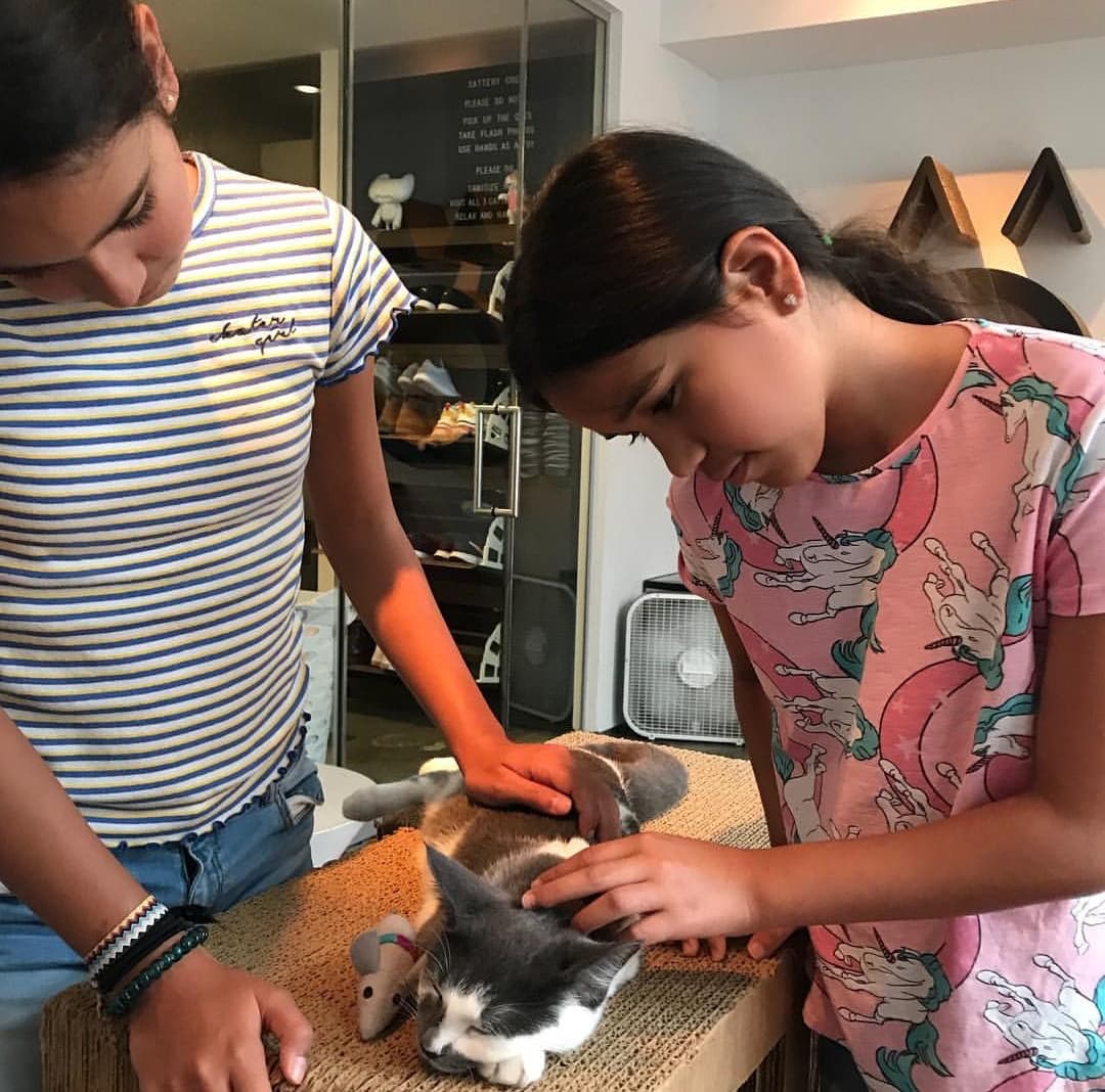 Las pequeñas de Karla adoran los animales, y aunque tienen un hermoso perro en casa, disfrutan la convivencia con otros animalitos. En esta imagen que publicó Karla en redes sociales se encontraban en un café de Nueva York donde se podía interactuar con los gatitos.
<br>