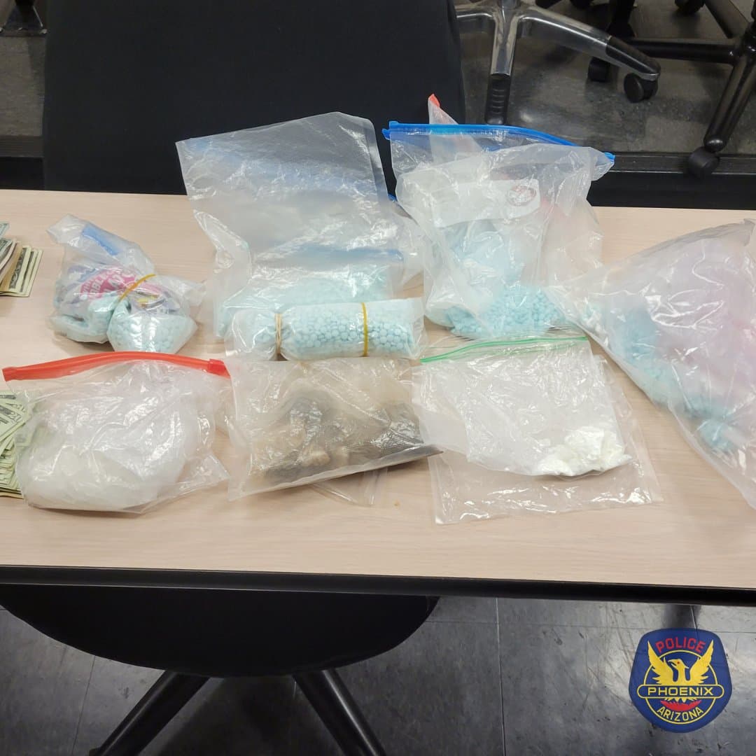 Hay distintos tamaños y formas, así como patrones de color.