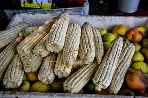 La fase 3 de reapertura indica que los eventos al aire libre se permiten aún si se espera 500 personas o más. Sin embargo, el gobierno local tiene la postestad de suspenderlo.