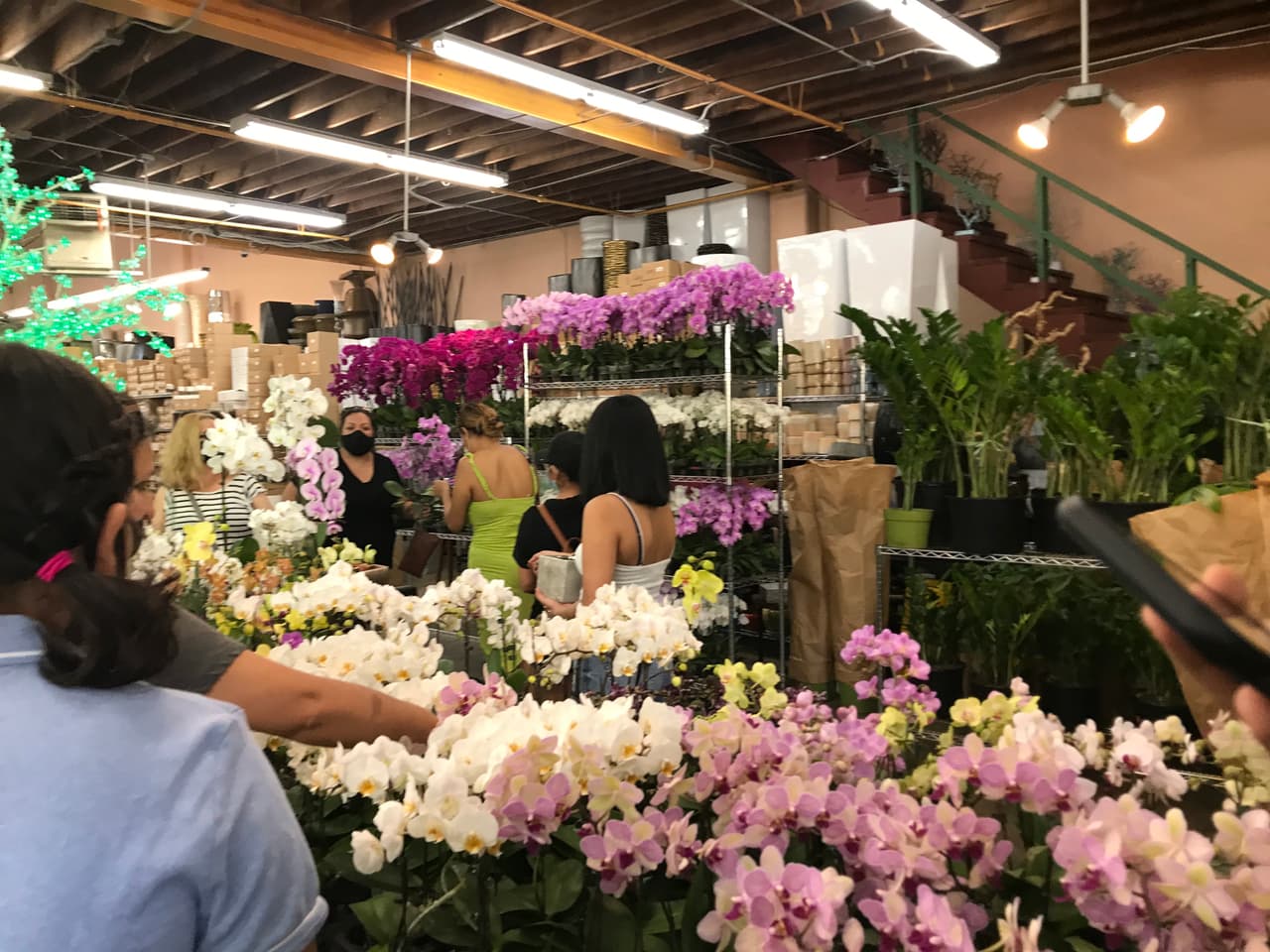 Una noticia que devolvió las esperanzas a uno de los sectores más golpeados por la crisis de salud.