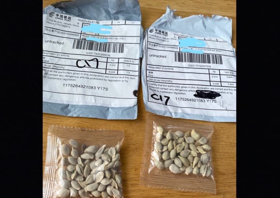 Envíos similares fueron recibidos en Pensilvania. El secretario de Agricultura, Russell Redding, advirtió a los consumidores que descarten e informen adecuadamente las semillas no ordenadas y mal etiquetadas enviadas desde el extranjero. Los consumidores de todo el país han recibido semillas en paquetes etiquetados como joyas.