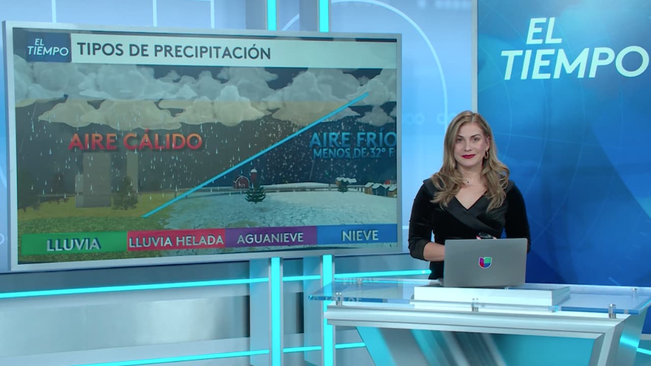 Reportan caída de aguanieve en Florida, ¿por qué ocurrió este fenómeno poco común?