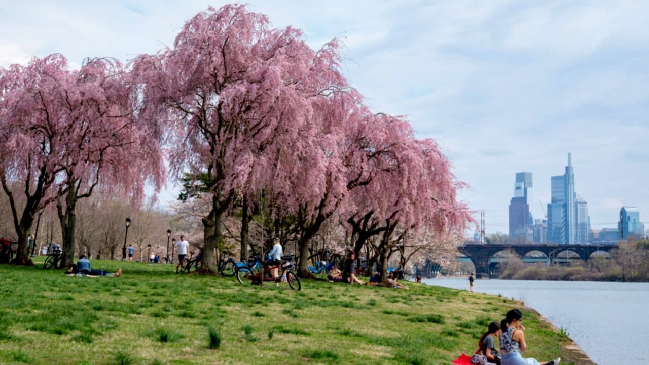 La primavera ha llegado a Filadelfia y con ello la temporada de alergias 