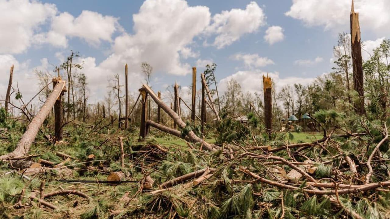 Más de una semana ha pasado desde que el 
<a href="https://www.univision.com/temas/huracan-laura">huracán Laura</a> pasó por el este de Texas y suroeste de Luisiana.