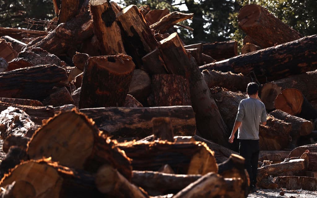El Servicio Forestal de los Estados Unidos informó que
<b> en la zona de Mount Baldy hay terreno inestable</b>, con árboles muertos y el riesgo inminente de derrumbes.