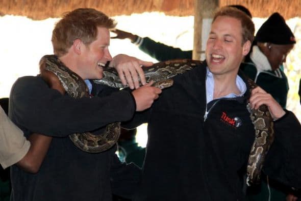 “El mantra de la familia real es ‘Nunca te quejes. Nunca lo expliques’. Creo que ‘The Royal View’ pretende explicar lo que está pasando”.
<br>