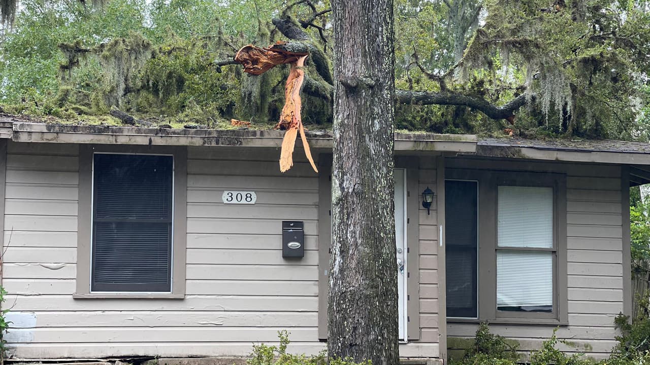 Numerosos árboles están caídos y muchos bloquean las calles de Lake Jackson.
