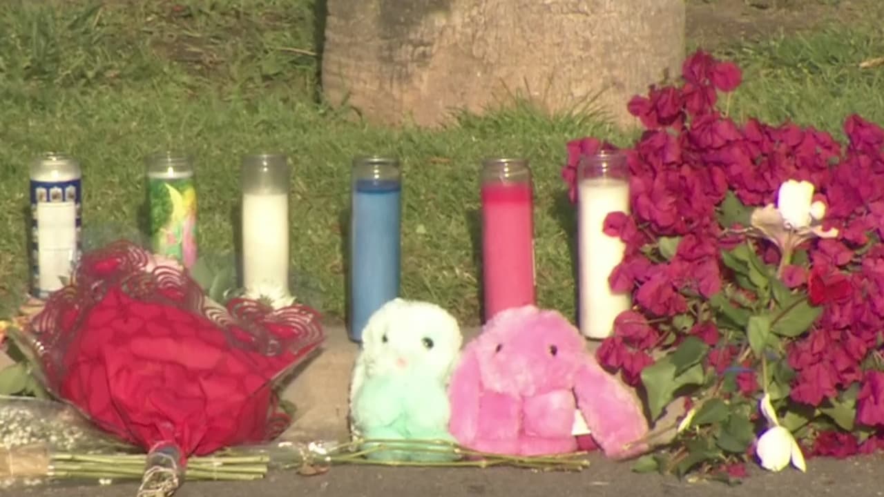 Dos niños y dos adultos son hallados muertos dentro de un vehículo en el sur de California