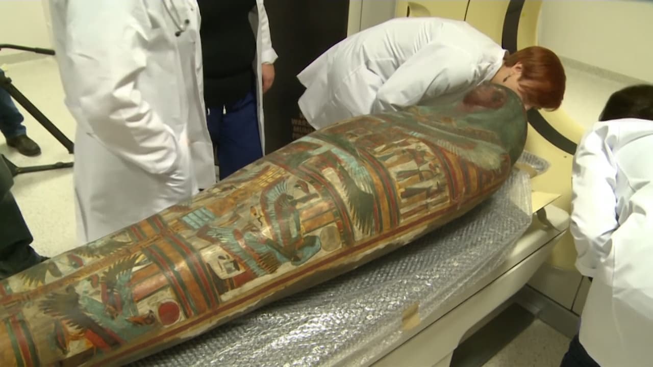 Un equipo de científicos polacos se ha convertido en el primero en descubrir una momia egipcia embarazada, con la esperanza de que arroje luz sobre aspectos previamente no investigados de las costumbres funerarias y el embarazo del antiguo Egipto. Se trata de una mujer de unos veinte años que tenía 26-28 semanas de embarazo.