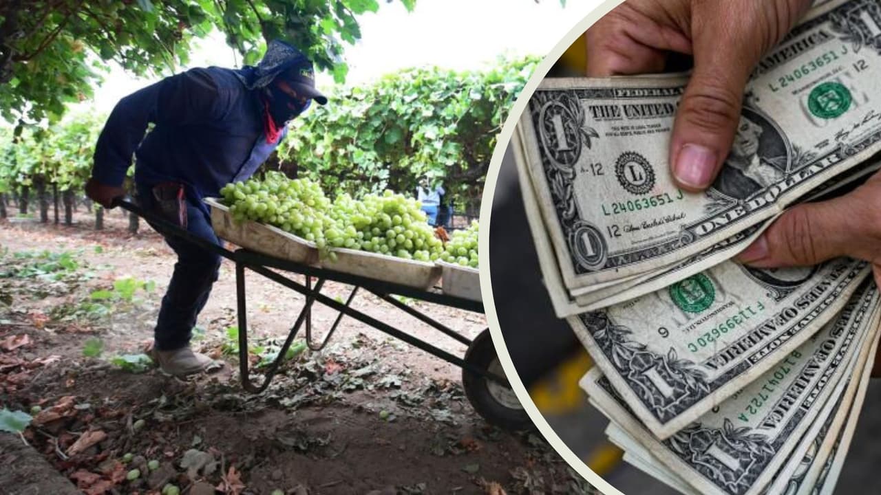 El Departamento del Trabajo ofrece ayuda para evitar robo de salario, sin importar estatus migratorio