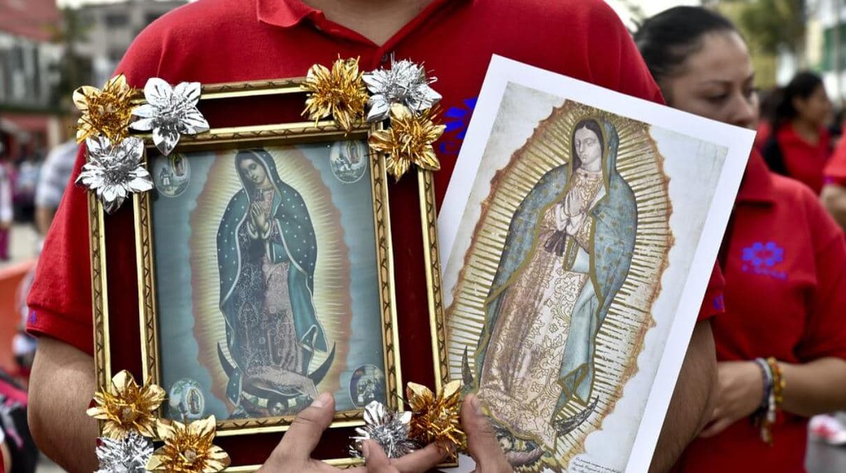 St. Margaret Mary
<br>
<u>1101 W. New Hope Dr. Cedar Park, TX</u>
<br>
<br>
<b>Lunes, 12 de diciembre</b>
<br>5:00 a.m. Grupo de Danza Santa Margarita Maria (Matachines)
<br>5:30 a.m. Rosario bilingüe y Mañanitas
<br>6:30 a.m.– 8:00 a.m. Desayuno en el Benish Center
<br>9:00 a.m. Rosario en el Nártex – Grupo de Danza Santa Margarita Maria (Matachines)
<br>12:00 p.m. Rosario en el Nártex – Sacristanes y Adoradores Perpetuos
<br>3:00 p.m. Rosario en el Nártex – Formación Católica para adultos y Divina Misericordia
<br>5:30 p.m. Rosario Ministerio Guadalupano
<br>6:15 p.m. Grupo de Danza Santa Margarita Maria (Matachines)
<br>6:40 p.m. Procesión con la Virgen de Guadalupe
<br>7:00 p.m. Misa Bilingüe
<br>8:00 – 9:00 p.m. Cena