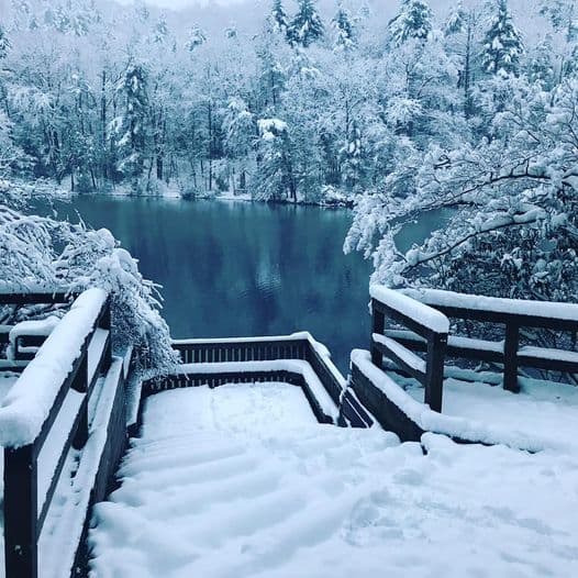 Termina la escapada de fin de semana con una visita al Parque Estatal Vogel, que se ve increíble cubierto de nieve cuando el tiempo lo permite.