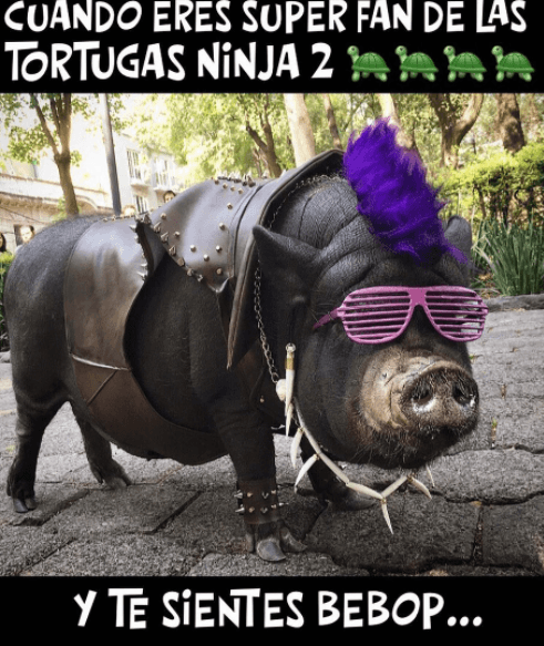 La Chata posa así para promover la película de "Las Tortugas Ninja 2".