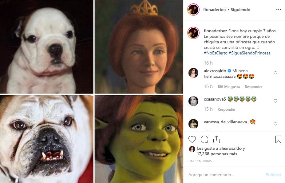 El 26 de julio de 2019, Fiona, quien ha sido gran amiga de Aitana, la hija de Eugenio y Alessandra, cumplió siete años de vida, según compartieron los actores en la cuenta de Instagram de la perrita.
<br>