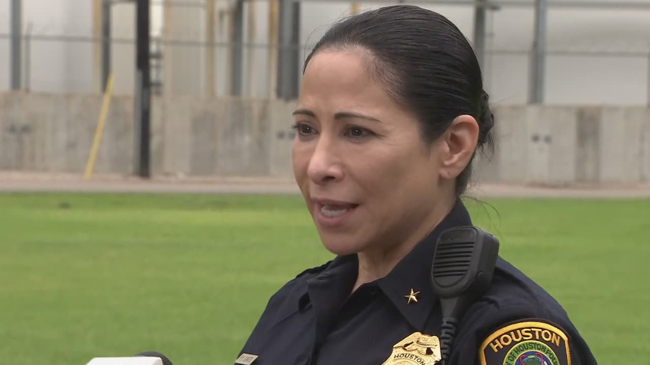 “Algunas veces los conductores de autos pequeños no comprenden que a un camión de carga le toma más tiempo detenerse que a otro tipo de vehículo”, comentó Patty Cantú, comandante de la policía de Houston.