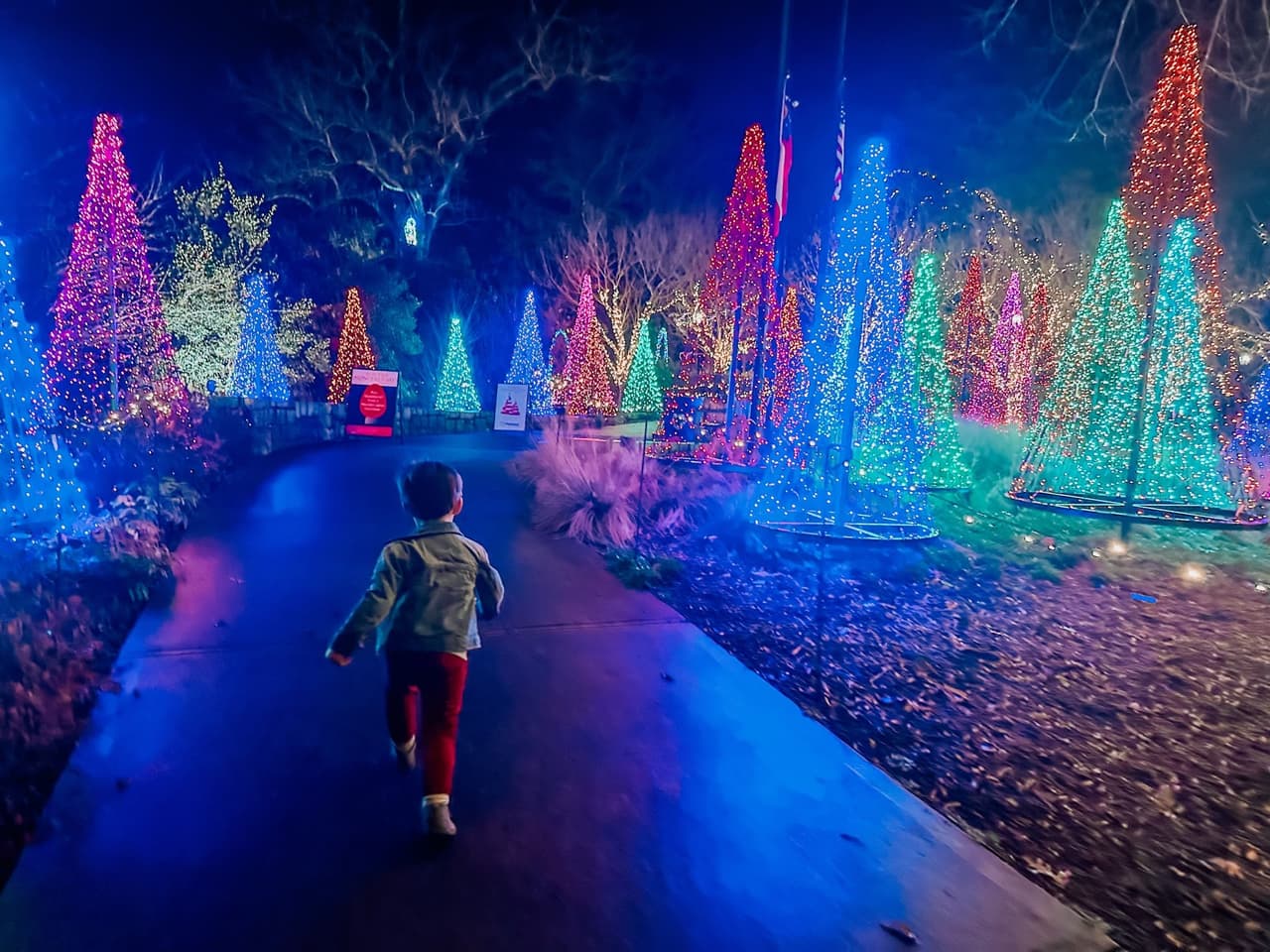 <b>Winter WonderLights</b>
<br>
<b>Fechas</b>: 22 de noviembre al 7 de enero de 2024
<br>
<b>Lugar</b>: State Botanical Garden of Georgia. 2450 S. Milledge Ave. Athens, GA
<br>
<b>Sitio web</b>:
<a href="https://botgarden.uga.edu/wonderlights/">https://botgarden.uga.edu/wonderlights/</a>
<br>
<br>Camina a través de exhibiciones de luces brillantes, que incluyen un Jardín de las Delicias, una Plaza Cone Tree y un Candy Cane Lane, y compra en el mercado navideño.