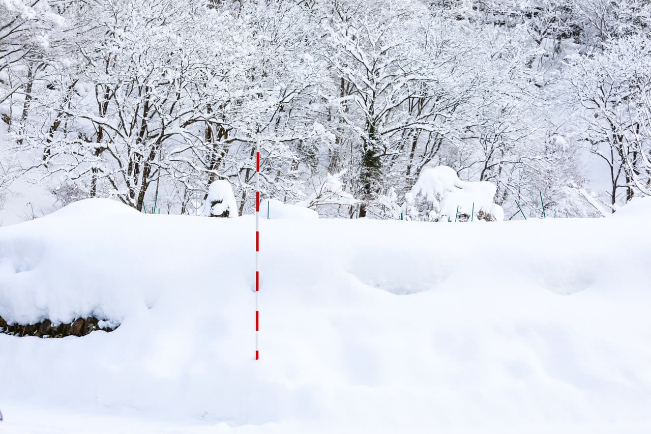 2. Lo segundo que tienes que hacer es buscar un área abierta, alejada de objetos altos o árboles, pero al mismo tiempo refugiada del viento.