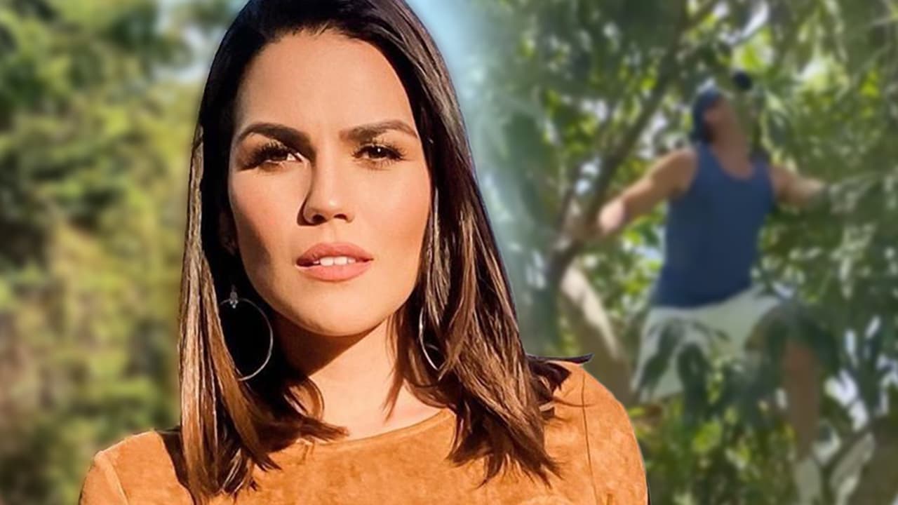 “No, esto se está saliendo de control”: Carlos Ponce se trepa a un árbol de mango para complacer a Karina Banda