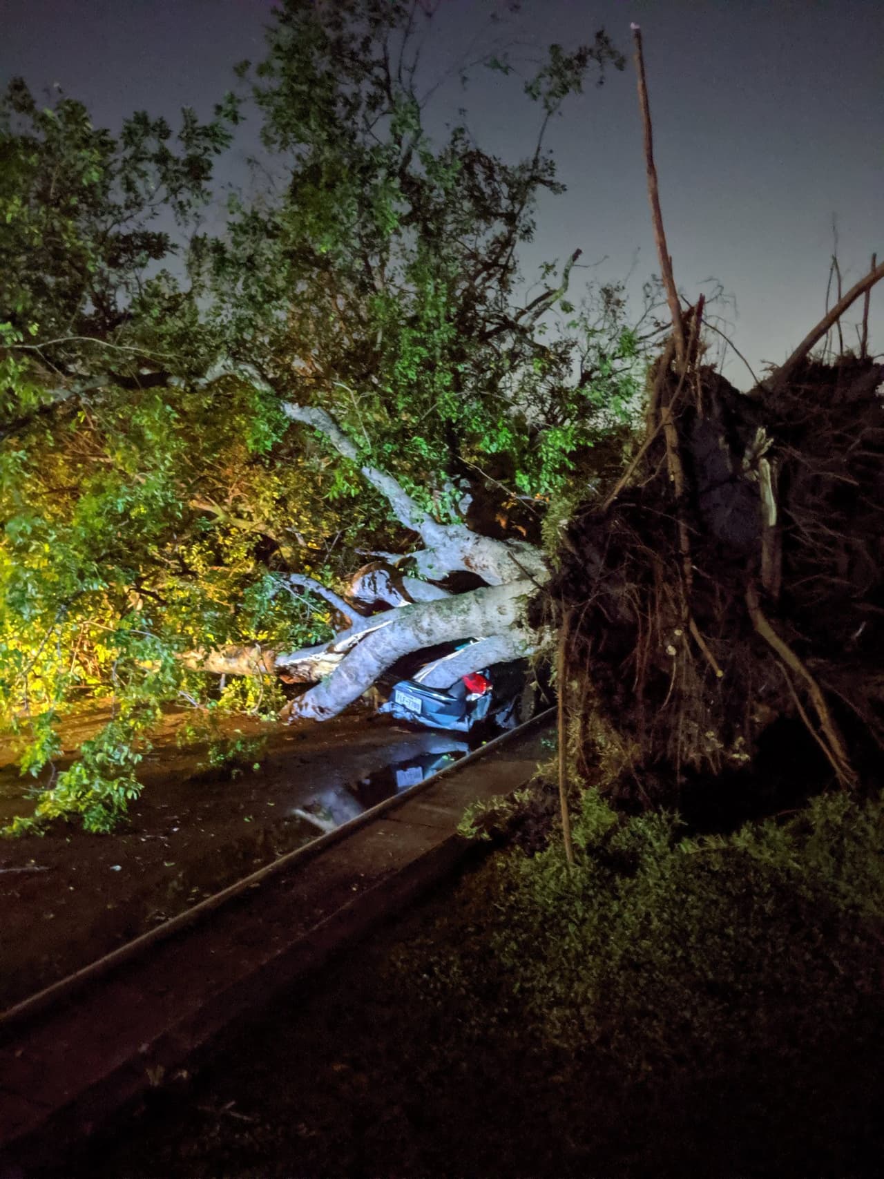 Imágenes de Richardson que muestra los estragos causados por la tormenta.