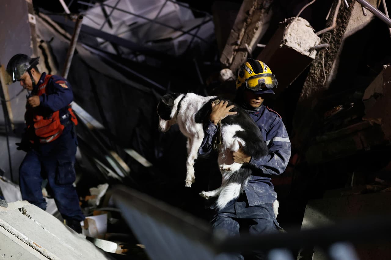 Un bombero rescata a un perro de un edificio que se derrumbó tras un terremoto en Caracas, Venezuela, el miércoles 24 de junio de 2026.