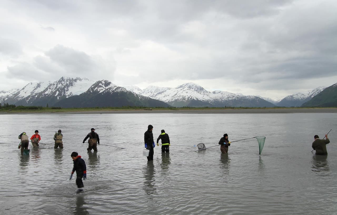 Y en Chicago estamos rompiendo temperaturas récord por frío intenso, poniendo nuestras temperaturas por debajo de la de Alaska.