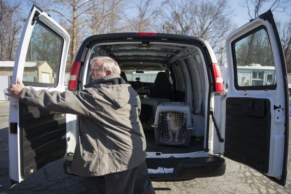 El dueño renunció a los cachorros y además se retiró por completo del mercado de carne de perro.