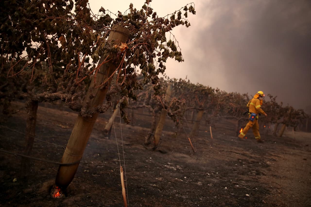En su peor momento, el incendio Kincade amenazó con calcinar casi 90,000 estructuras en las ciudades de Geyserville, Windsor y Santa Rosa, esta última una de las que fue devastadas por los fuegos forestales de 2017.