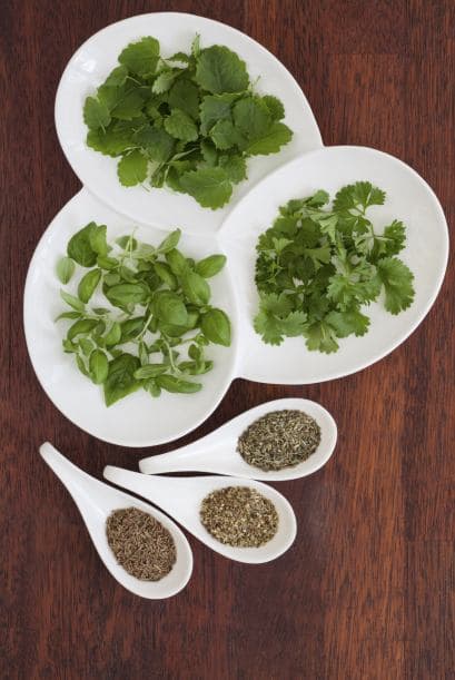 La cosecha. Si lo que quieres son las hojas, debes extraerlas antes de que las plantas florezcan.