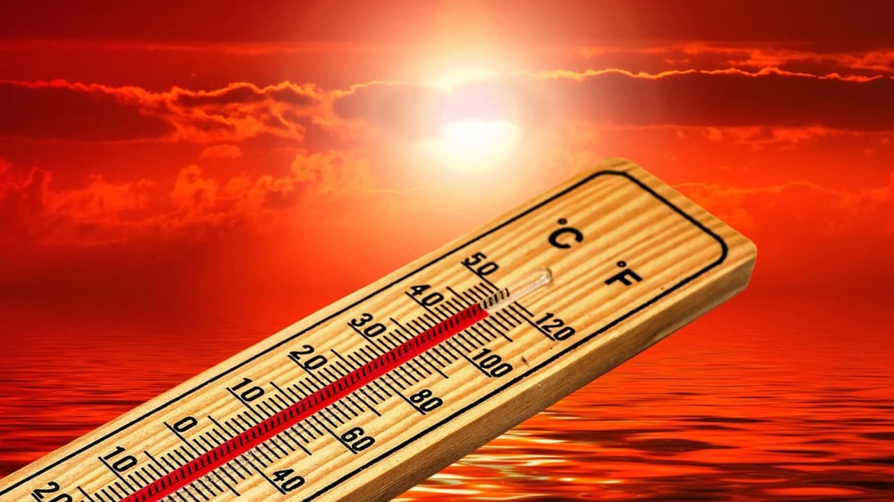Ola de calor en Los Ángeles es la principal sospechosa en la muerte de una niña de 3 años