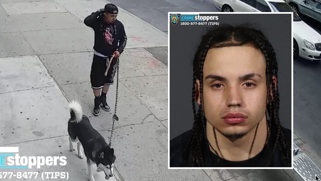 Arrestan a presunto depredador sexual que utilizaba perros para atraer a niños en Brooklyn
