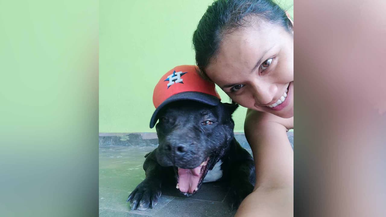 Silvia León · Adoptó a Bruce y juntos apoyan a los Astros ¡Go Astros! #EdicionDigitalHouston #Houston #Astros