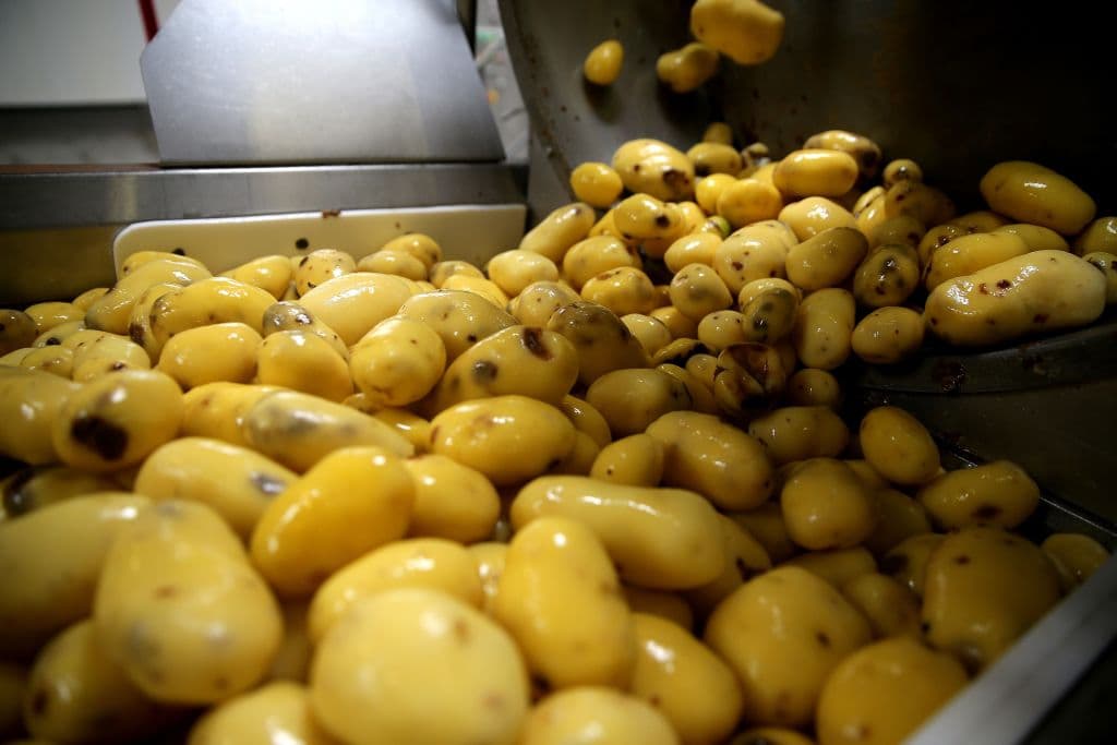 Los chinos quieren cultivar papas en la Luna