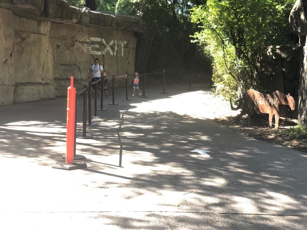 Reapertura del zoológico de Dallas