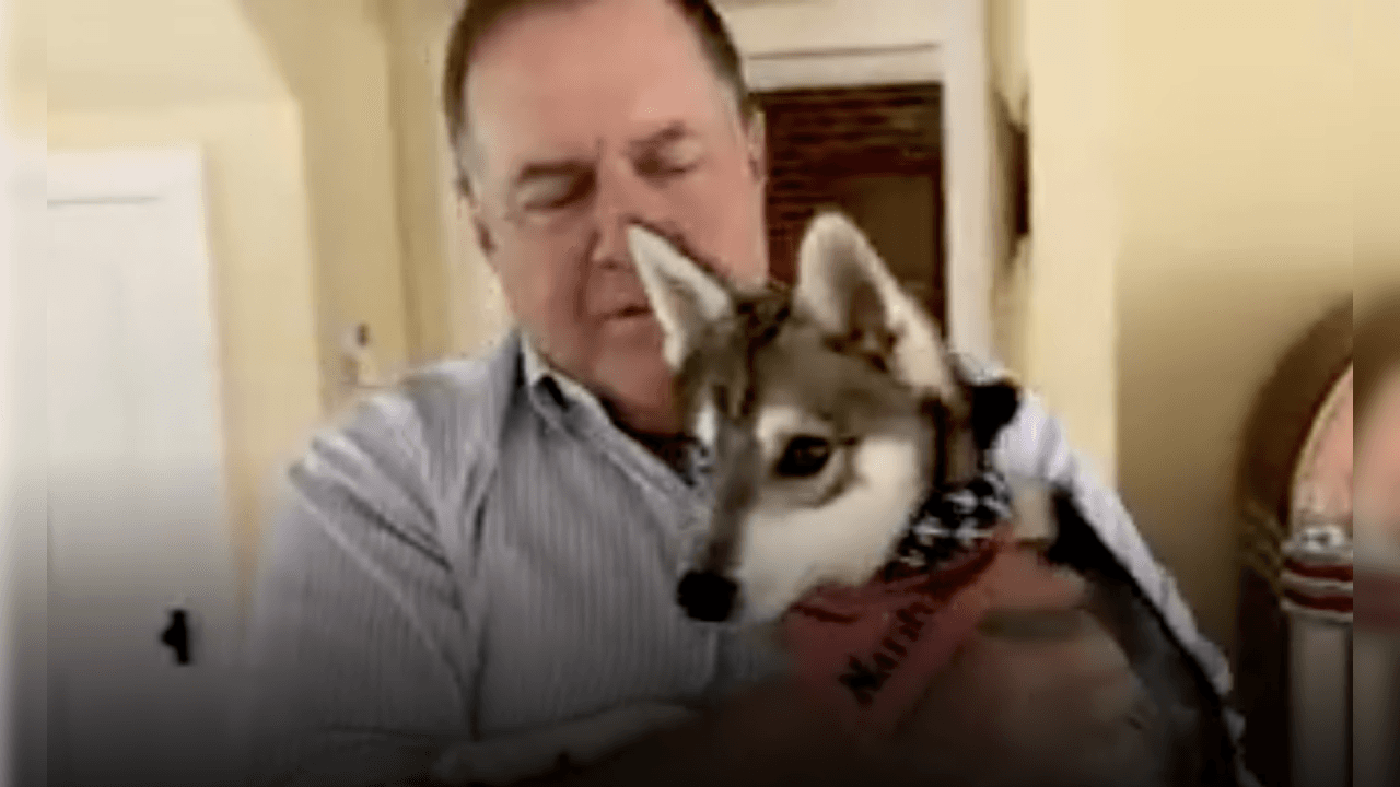 Belichick es alegre, cálido y francamente divertido con ‘Nike’, su perro. Se hizo famoso durante el Draft 2020 de la NFL que se llevó a cabo de manera virtual.