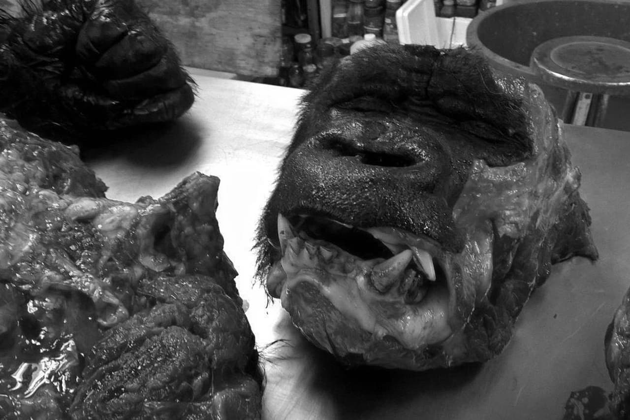 El cadáver del gorila “Bantú”, quien murió durante su traslado fallido del Zoológico de Chapultepec al de Guadalajara para su reproducción, fue abierto completamente, destazado y decapitado, según muestran imágenes.