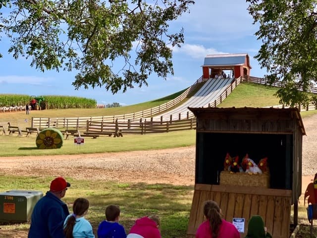 Cuenta con un laberinto de maíz, área de juegos infantiles, una tienda y pabellón de comidas, y más diversión familiar a la antigua. Se pueden organizar excursiones educativas, bodas, fiestas de cumpleaños y tiene instalaciones para organizar eventos de grupos corporativos durante todo el año.