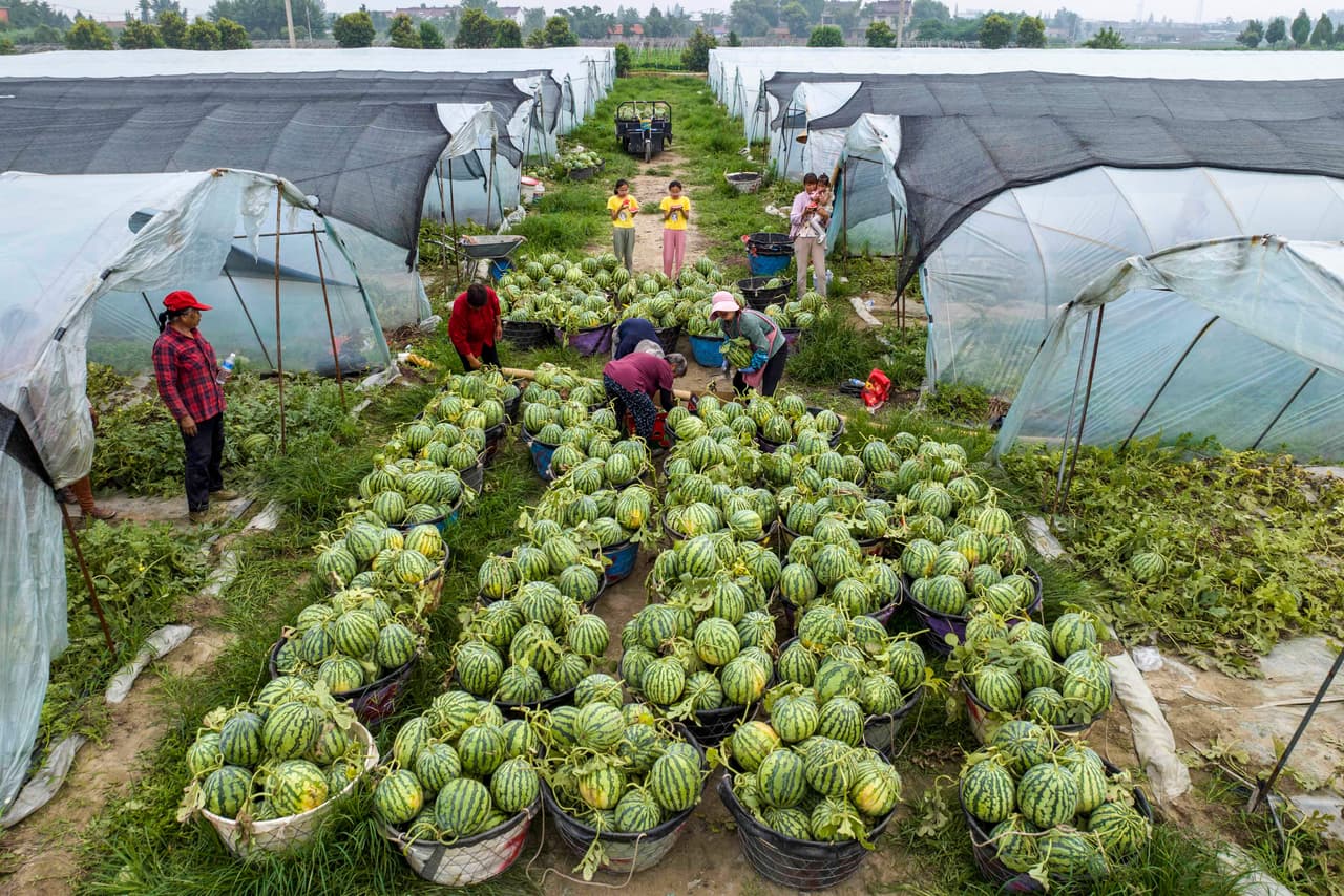 "
<b>Retribuir a la comunidad a la que servimos es otra forma en la que nuestro Alguacil invierte en la comunidad a la que servimos</b>", se lee en el comunicado que obtuvimos.