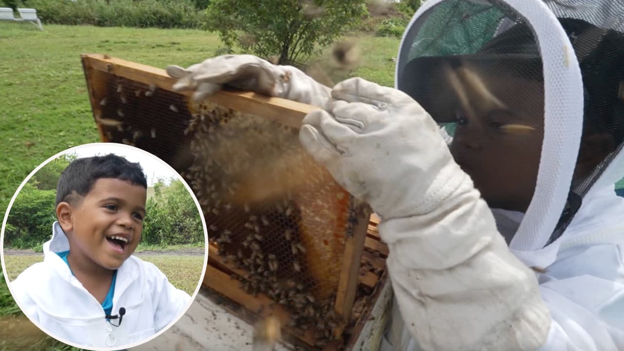 "Vamos a cuidarlas": Con solo 5 años, Eliel Rivera es el apicultor más joven de Puerto Rico