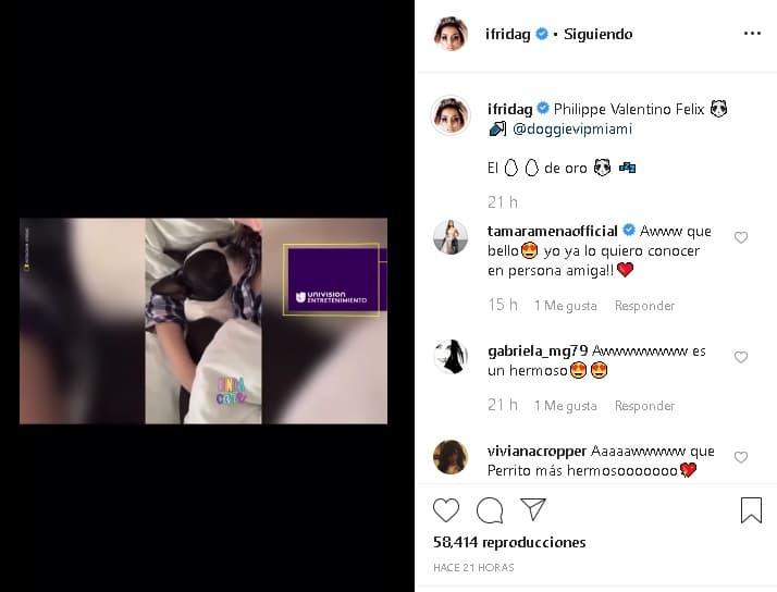 La
<b><a href="https://www.instagram.com/p/B7G99S6BXv0/" target="_blank">publicación más reciente</a></b> de Frida Sofía era un video de Univision Digital donde se reseña
<b><a href="https://www.univision.com/famosos/al-unico-nieto-de-alejandra-guzman-le-cuesta-salir-de-la-cama-frida-sofia-sufre-para-llevarlo-a-una-cita-video" target="_blank">cómo sufrió</a></b> para llevar a una cita a Phillipe, su perro boston terrier.
