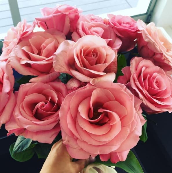 La bella actriz celebra este 1 de marzo su cumpleaños y recibió estas flores hermosas. Aunque no dijo de quién son, podríamos intuir que las recibió de alguien que la quiere mucho.