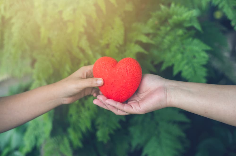 <u>Nivel de energía sexual</u>: Muy alto.
<br>