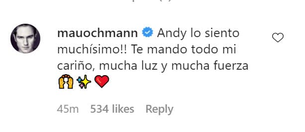 El actor 
<b><a href="https://www.univision.com/famosos/mauricio-ochmann-sabe-bien-con-quien-pasaria-los-ultimos-dias-de-su-vida-spoiler-aislinn-derbez-no-esta-en-la-lista-fotos" target="_blank">Mauricio Ochmann</a></b> le escribió: "'Andy', 
<b>¡lo siento muchísimo!</b> Te mando todo mi cariño, mucha luz y mucha fuerza".
<br>