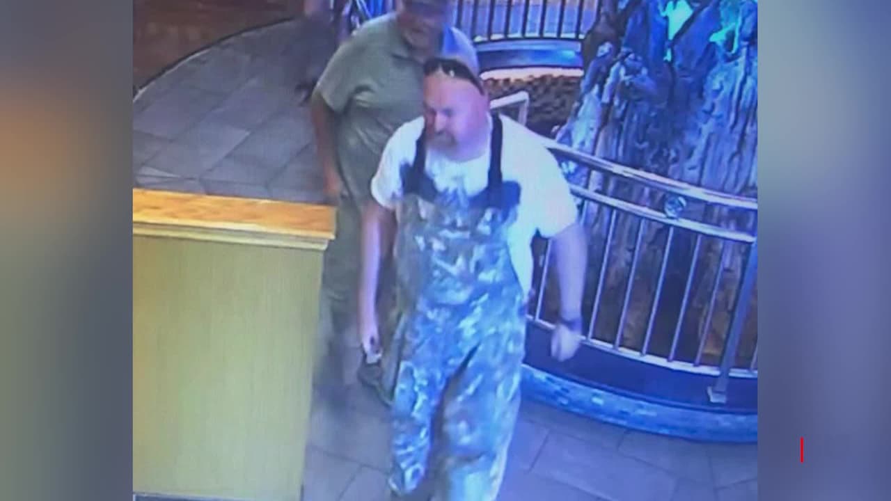 Agresor de anciano en estacionamiento de Publix se entregó tras quedar captado en video