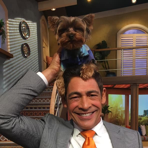 Johnny Lozada: "Envíenme sus fotos con sus perros en la cabeza para convertirnos en #Tendencia #conunperroenlacabeza". (Agosto 2, 21016)