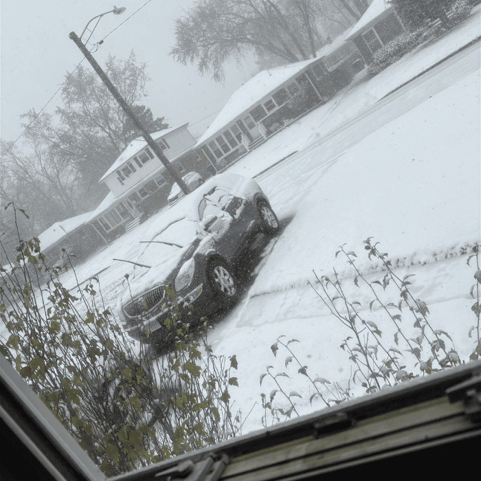 En Hillside, suburbio de Chicago, la nieve tuvo mayores acumulaciones.